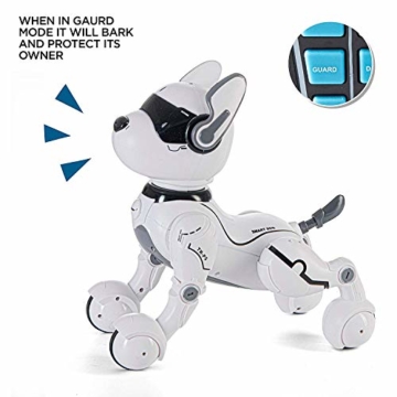 Top Race Fernbedienung Hund Smart Mini Pet Tanzt zum Beat Welpen Hunde & Imitate Tiere-RC Roboter Geschenkspielzeug für Kinder und ältere Kinder für Jungs und Mädchen im Alter von 2 3 4 5 6 7 8 9 10 - 9